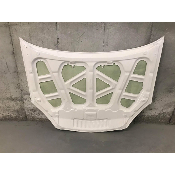 DC5 Fibreglass Oem Bonnet