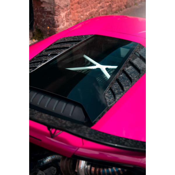 Lamborghini Rear Metal Vent Cover