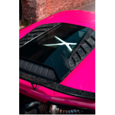 Lamborghini Carbon rear louvers